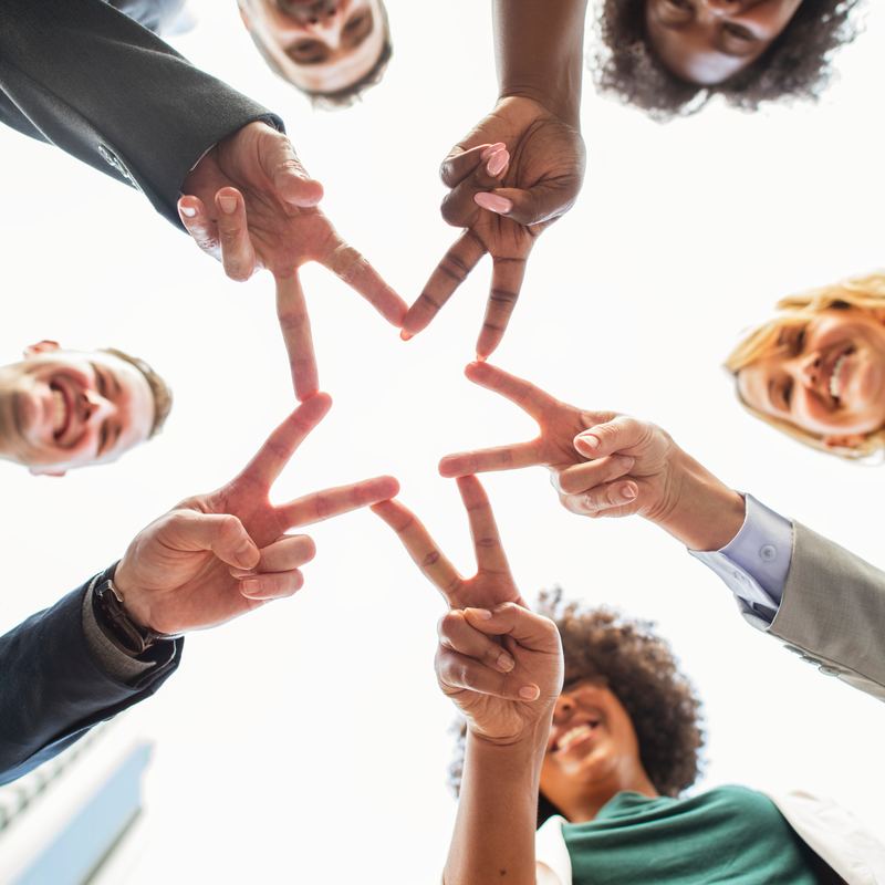 Team building training to learn to apply the fundamental building blocks to create a high performing team